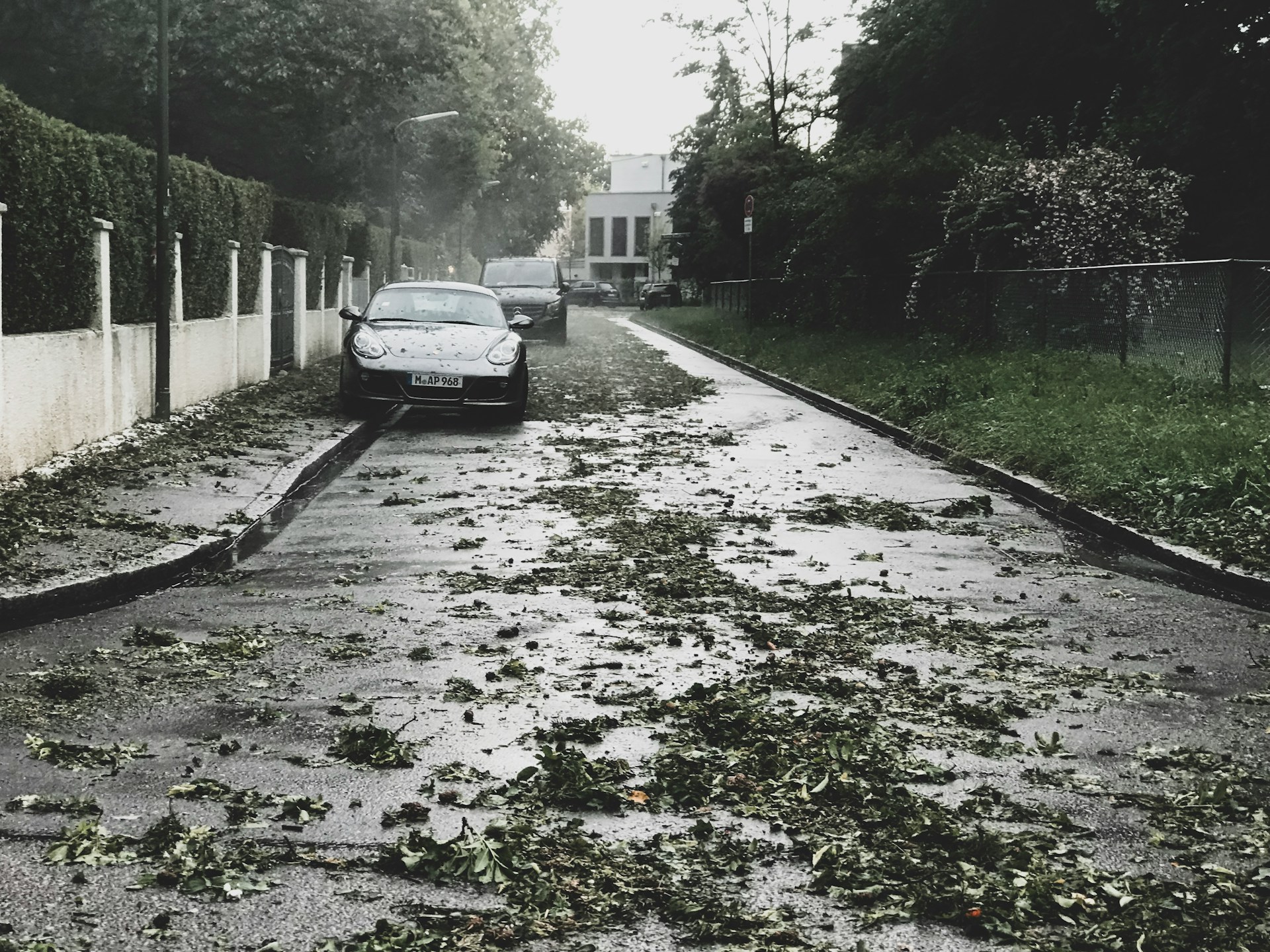 Compost storm debris using an electric composter