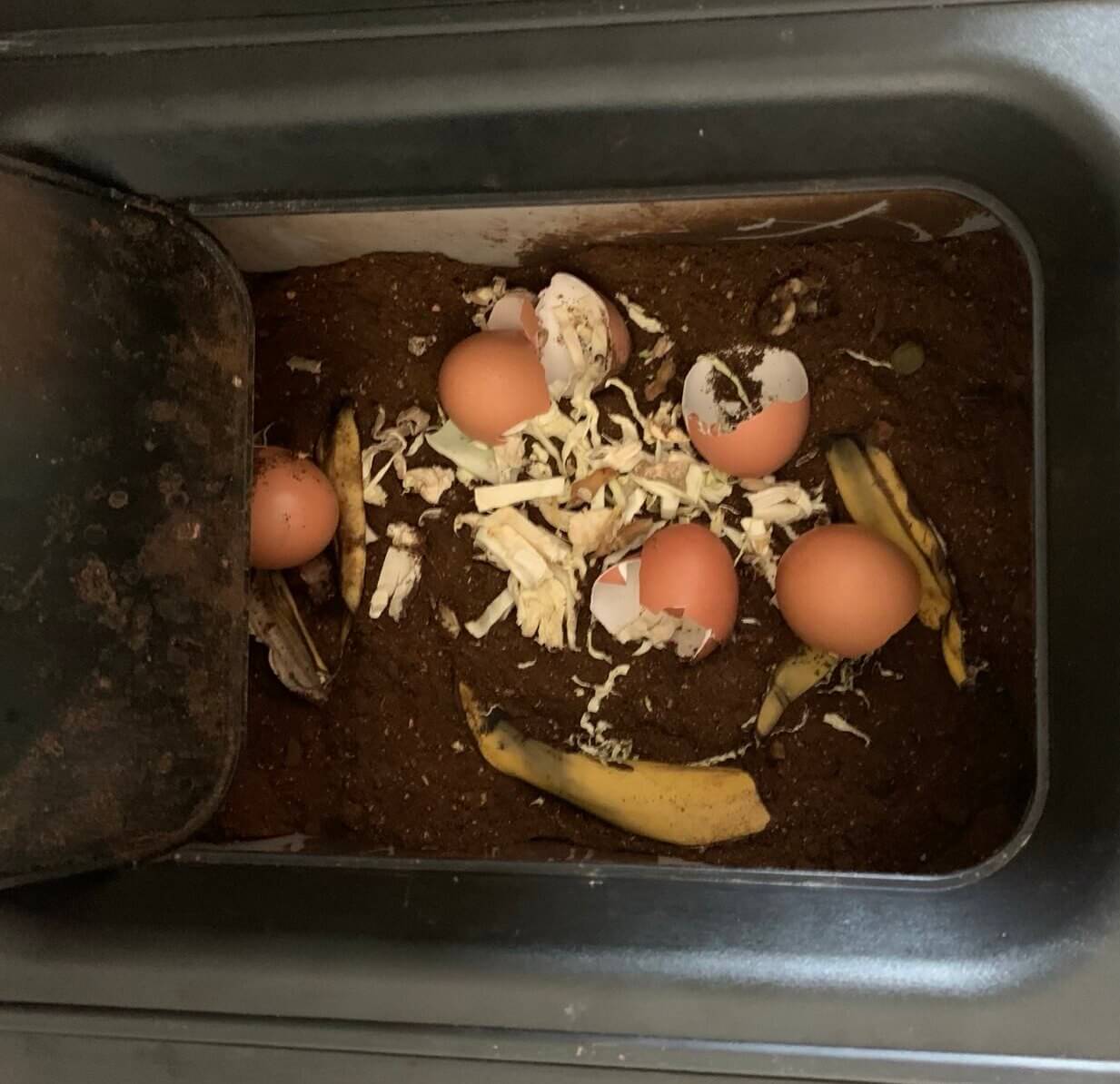 Kobold microbes in composter